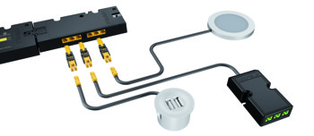 Häfele Loox5 Adapter für Verbraucher | 84 W | 24 V